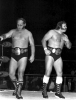 NWA World Tag Team Champions Gene & Ole Anderson