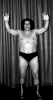 The Eighth Wonder of the World, Andre the Giant