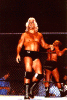 NWA World Tag Champions Ric Flair & Greg Valentine